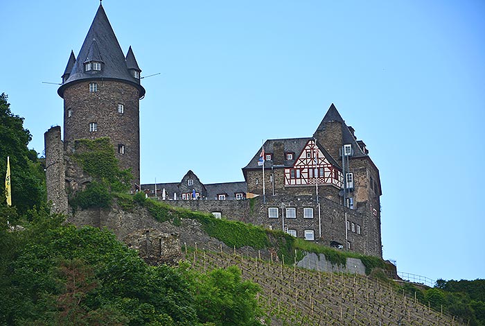 Burg am Rhein